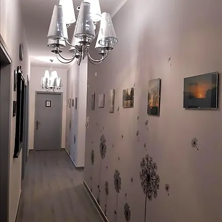 La Mandragola *